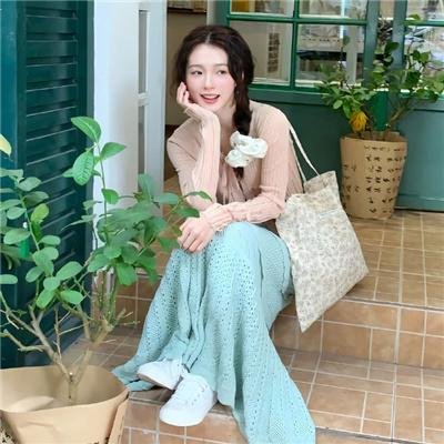 大炮破坏者